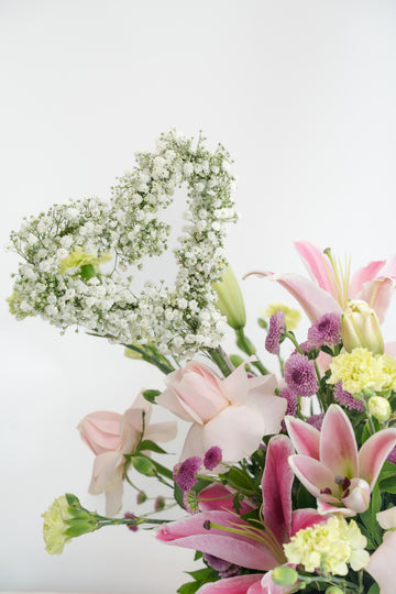 Baby's Breath